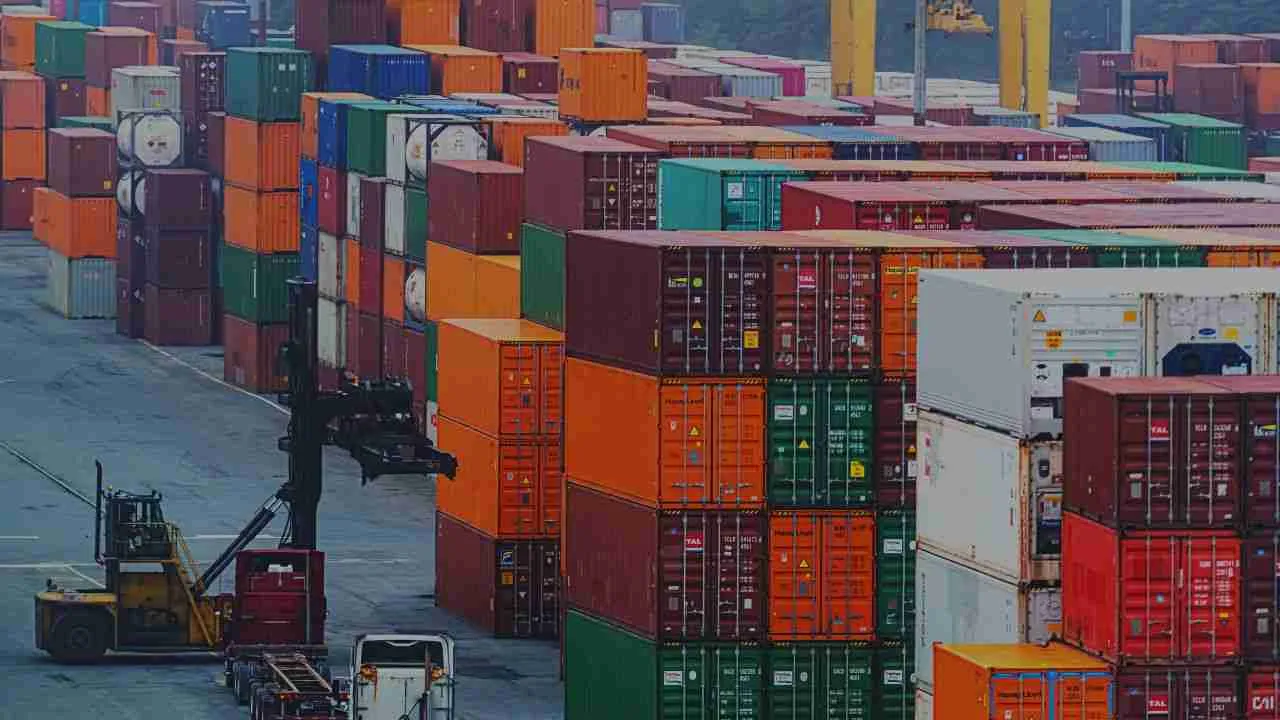 Container Fumigation: Examples, Time, Prices, and more
