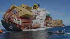 What is cargo insurance: Why need it, and How to Buy it?