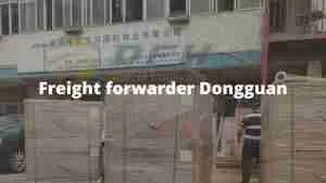 Spediteur Dongguan